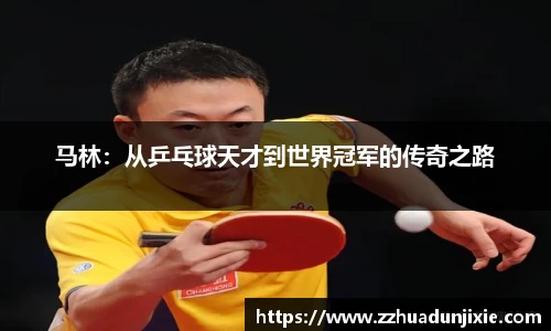 马林：从乒乓球天才到世界冠军的传奇之路