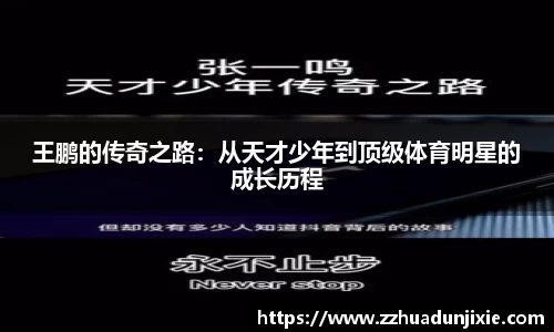 王鹏的传奇之路：从天才少年到顶级体育明星的成长历程